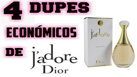 dior j'adore dupe dm|50 Best Dupes for J'adore Parfum d'Eau by Dior .